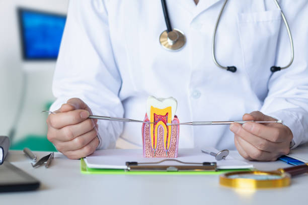 Best Urgent Tooth Repair  in Hutchinson Island South, FL